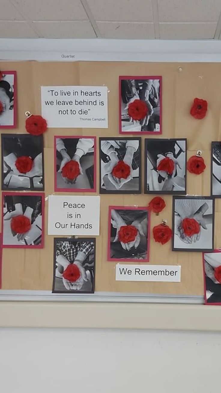 a bulletin board with pictures and red flowers on it, all pinned to the wall