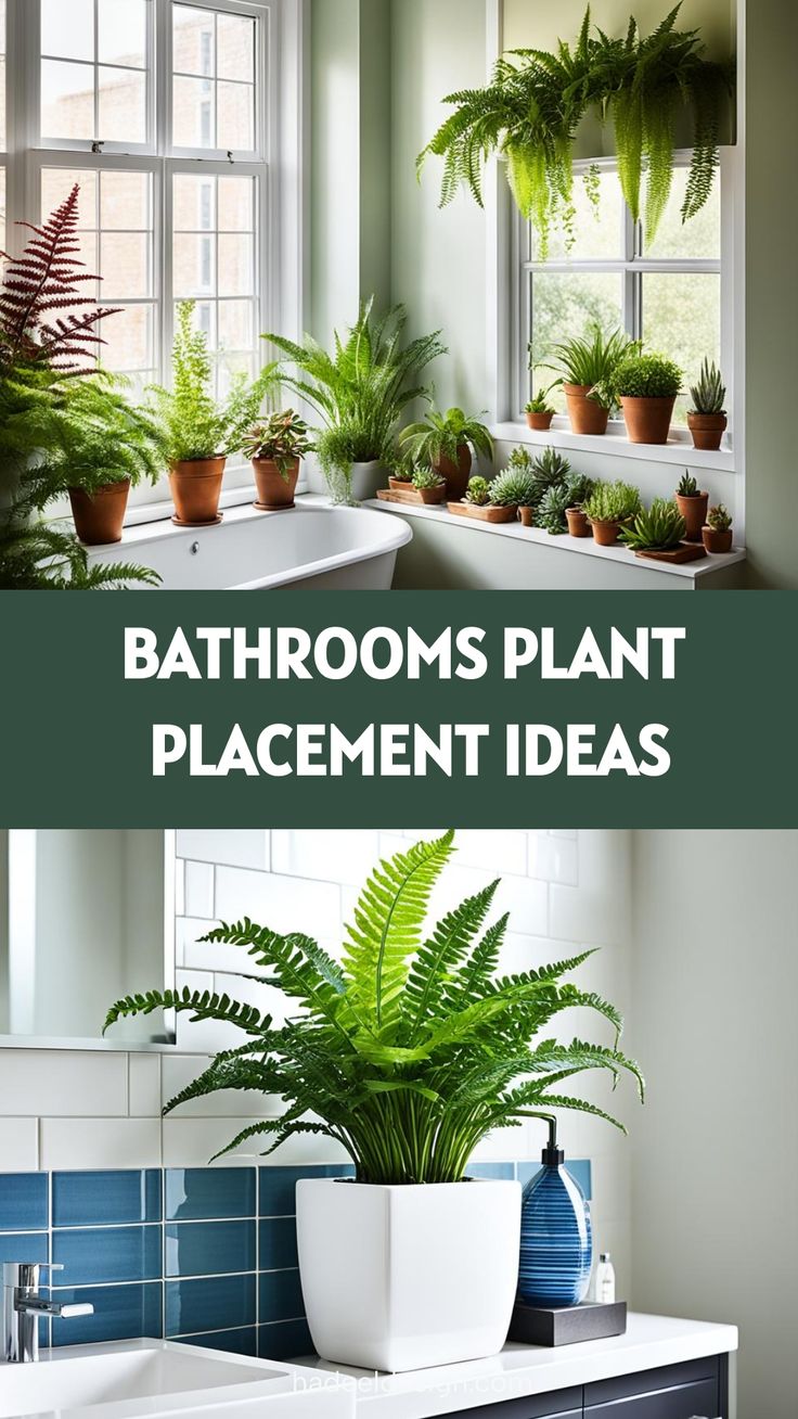 bathroom plant placement ideas that are easy to do in the sunroom or on the window sill