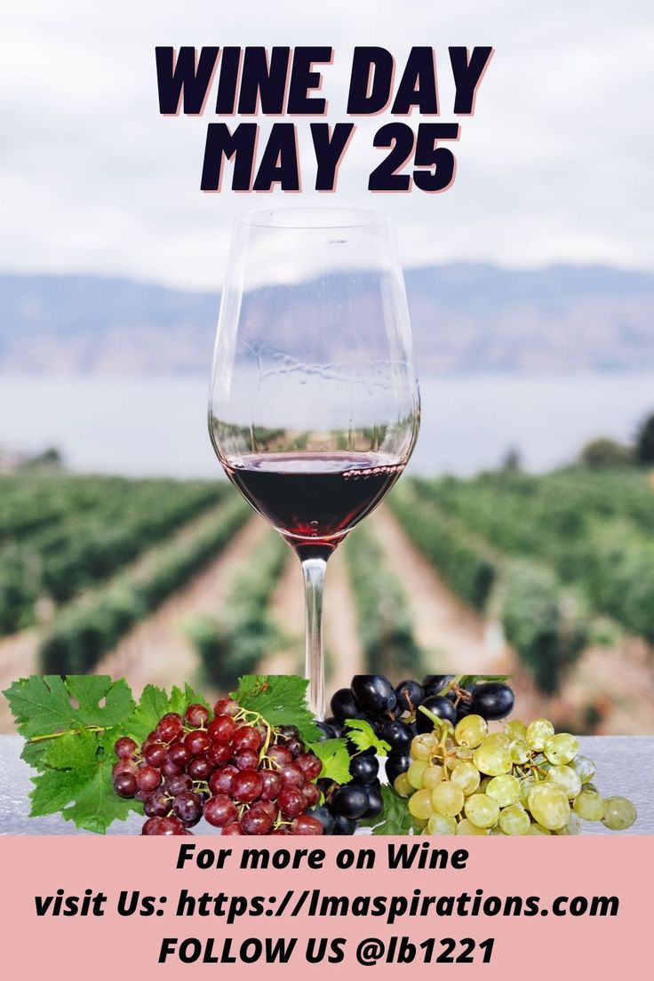 Celebrate National Wine Day on May 25, 2022 National Wine Day, National Drink Wine Day, Drink Wine Day, Dessert Wine, Wine White, Wine Desserts, Drink Wine, Wine Drinks, White Rose