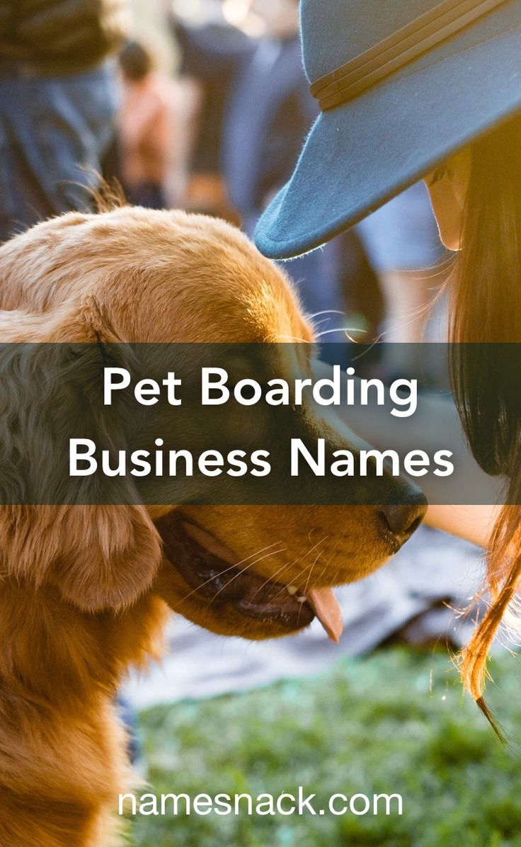 a woman petting a dog with the words pet boarding business names