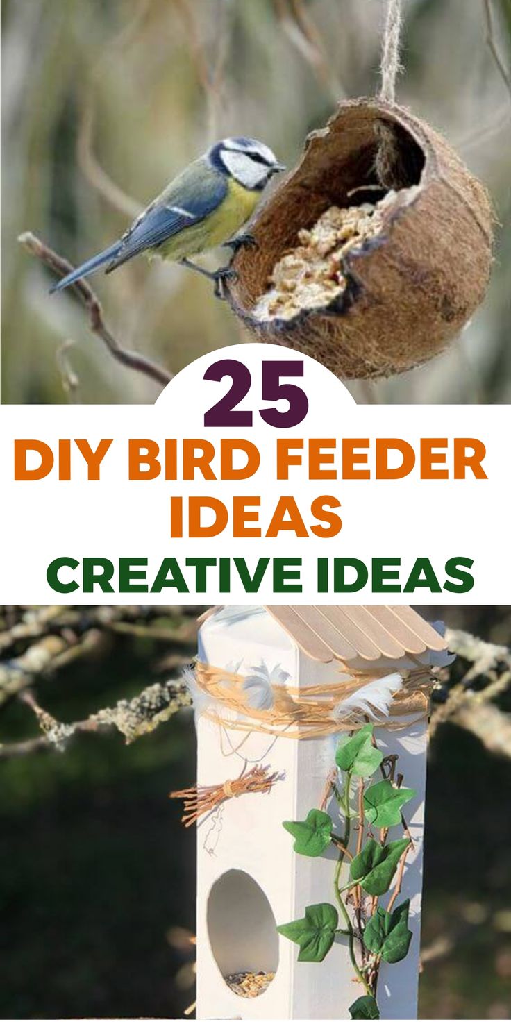 25 diy bird feeder ideas that are easy to make