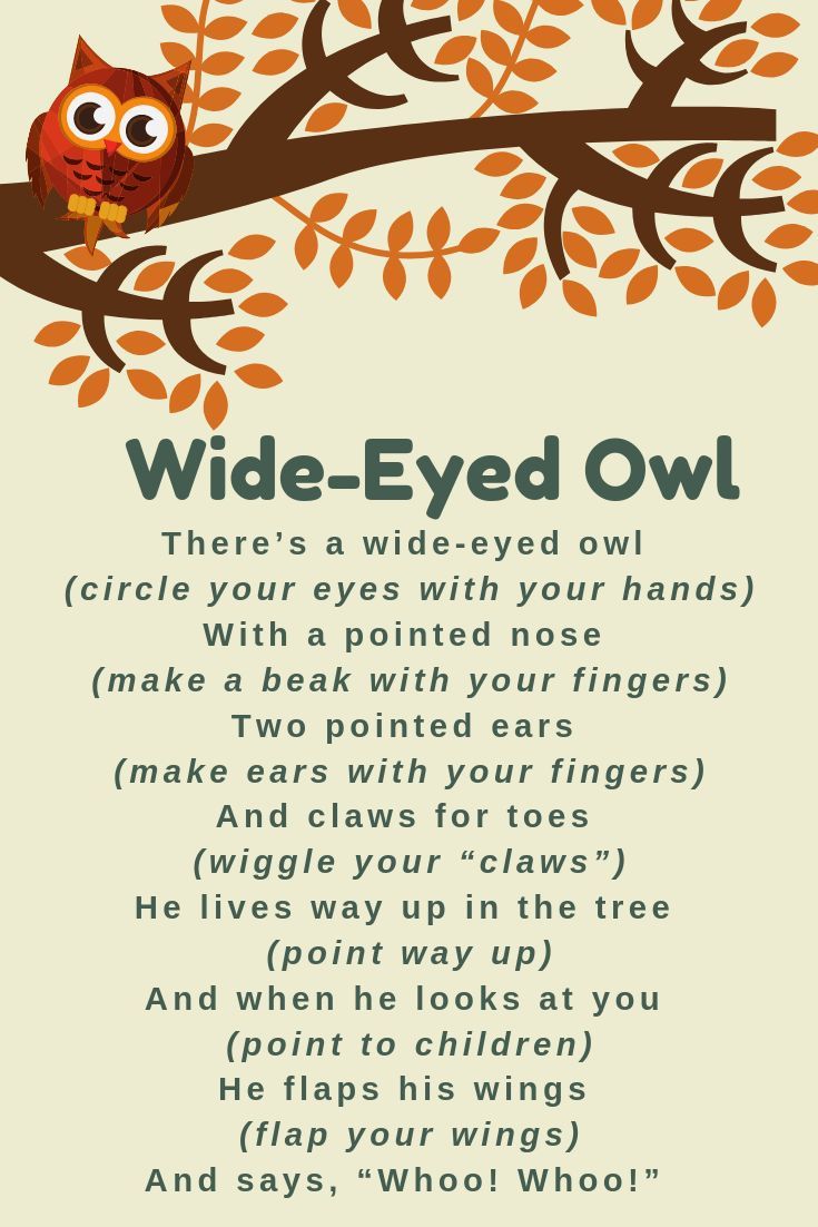 an owl sitting on a tree branch with the words wide - eyed owl written below it