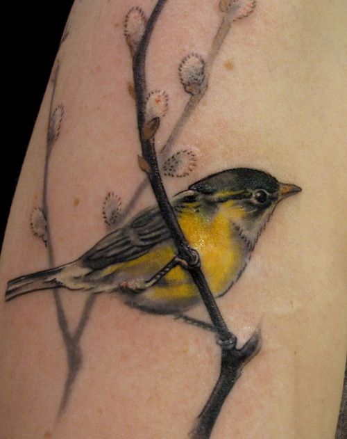 a yellow and black bird is sitting on a branch with flowers in it's back