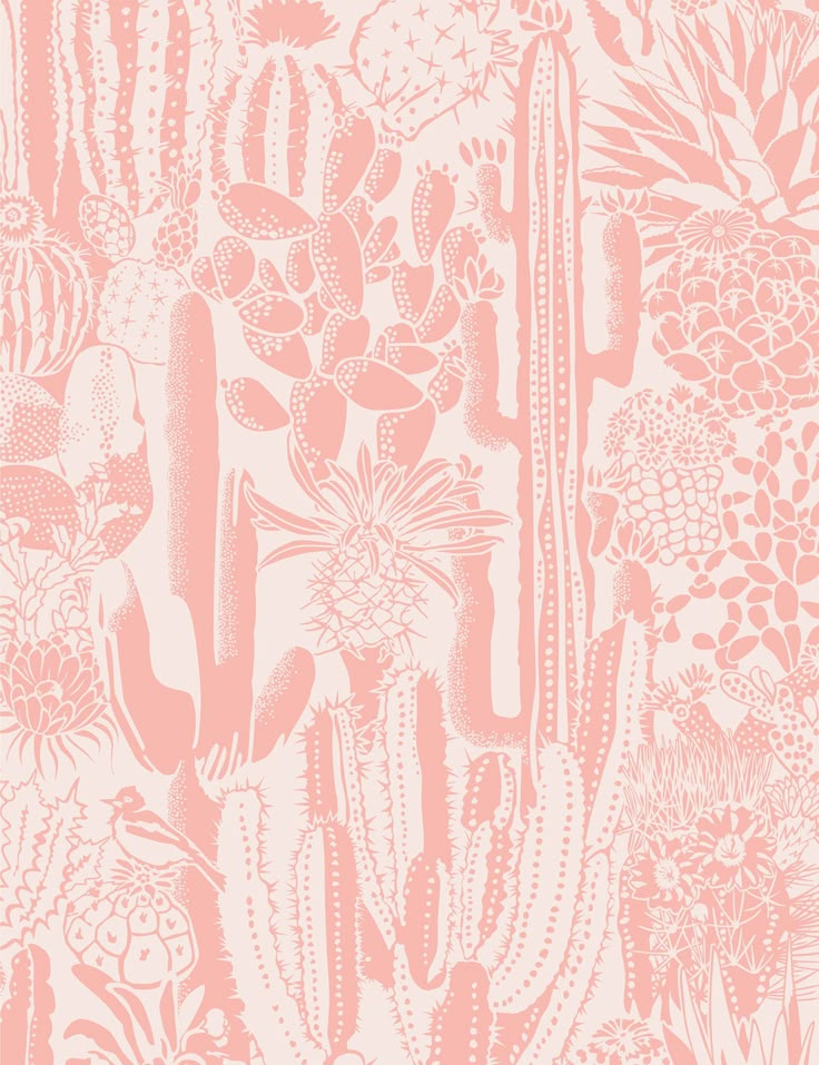 a pink and white wallpaper with cacti