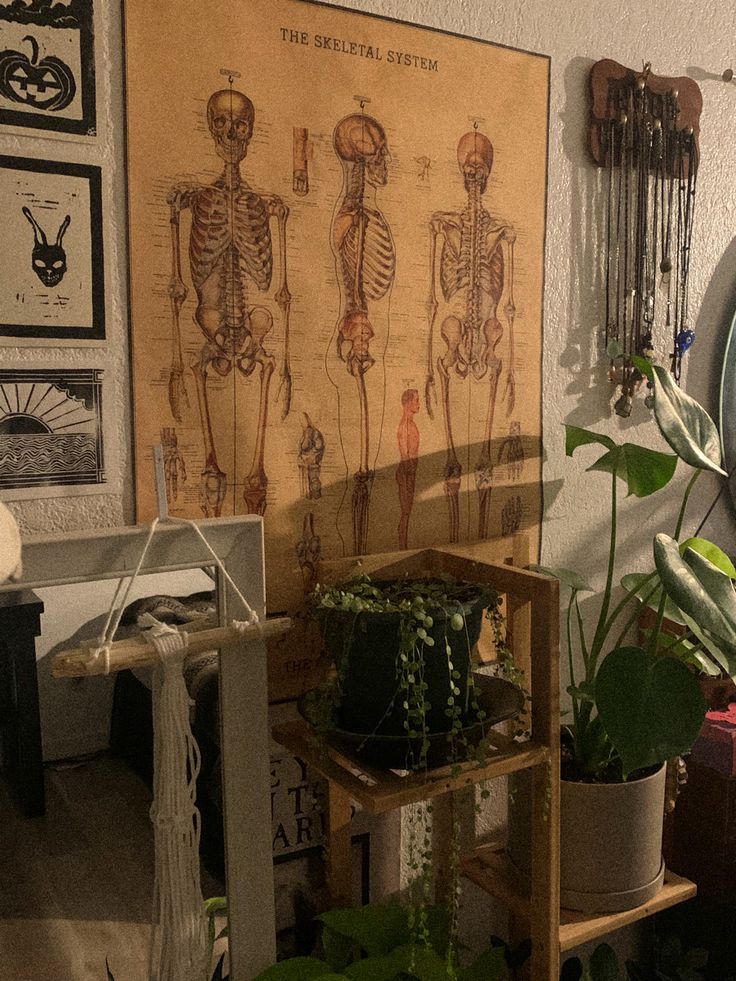 a room filled with lots of plants and skeletons on the wall behind it is a shelf full of potted plants