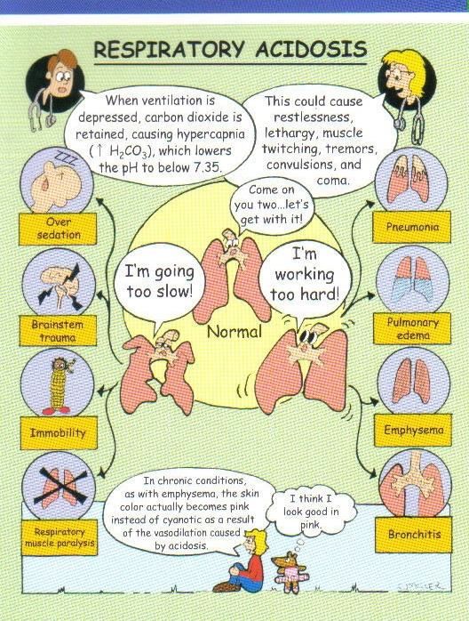 an illustrated poster with the words, respiratory acidologists