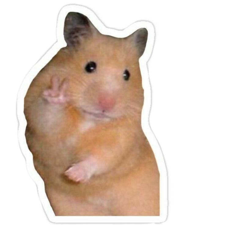 a brown hamster sticker sitting on top of a white surface and looking at the camera