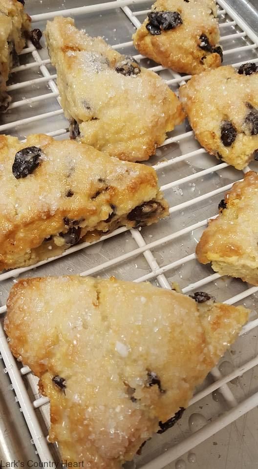 blueberry scones cooling on a wire rack