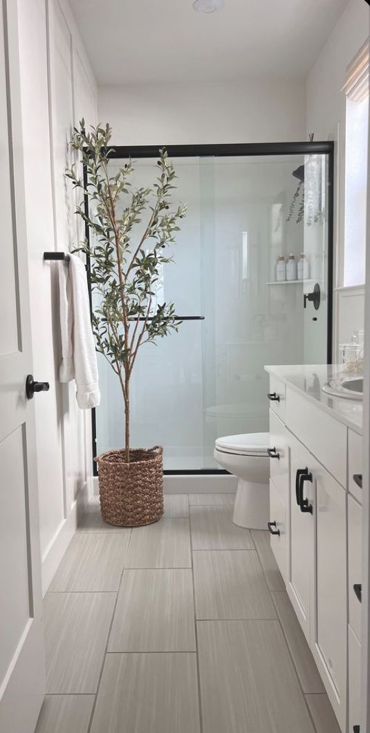 a bathroom with a toilet, shower and a plant in the basket on the floor