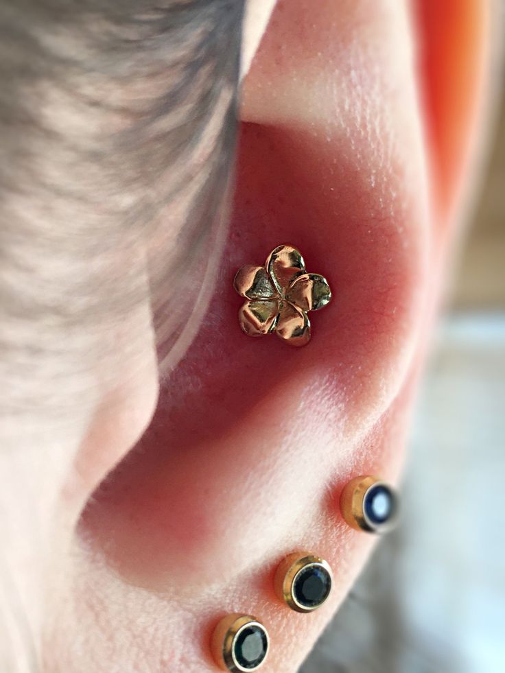 Handcrafted single conch stud earring with hawaiian plumeria flower. Comes with 18g double threaded back. Super comfortable, ideal for long everyday use. The earring is created using 14K yellow solid gold. It is stamped with solid gold marking. Made to order. Will arrive in a pretty gift box ready to give or keep. All the designing, sawing, sanding, polishing, soldering, stamping, doming and wire work was done by me in my home studio in Rehovot, Israel. More conch studs: https://www.etsy.com/il- Conch Piercing Stud, Earrings Stack, Rose Gold Nose Ring, Conch Stud, Earring Inspo, Conch Hoop, Conch Jewelry, Tragus Jewelry, Hawaiian Plumeria