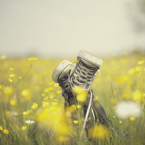 a pair of shoes that are sitting in the middle of a field with yellow flowers