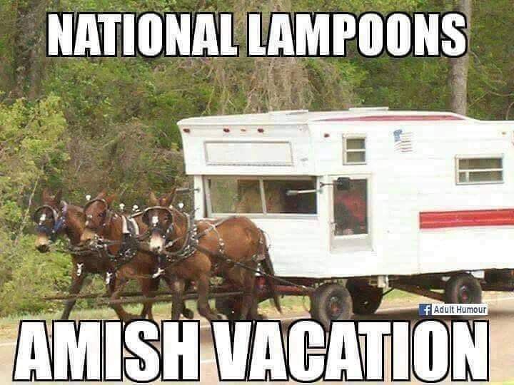 two horses pulling a trailer with people in it and the caption says national campground amish vacation