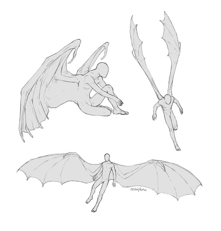 three different types of bats with wings and legs, one flying in the air while another is