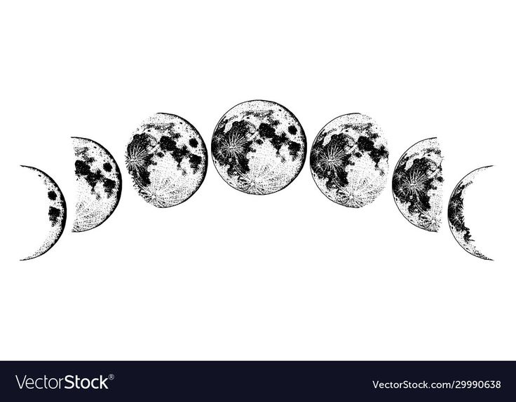 the phases of the moon in black and white colors on a white background with space for text