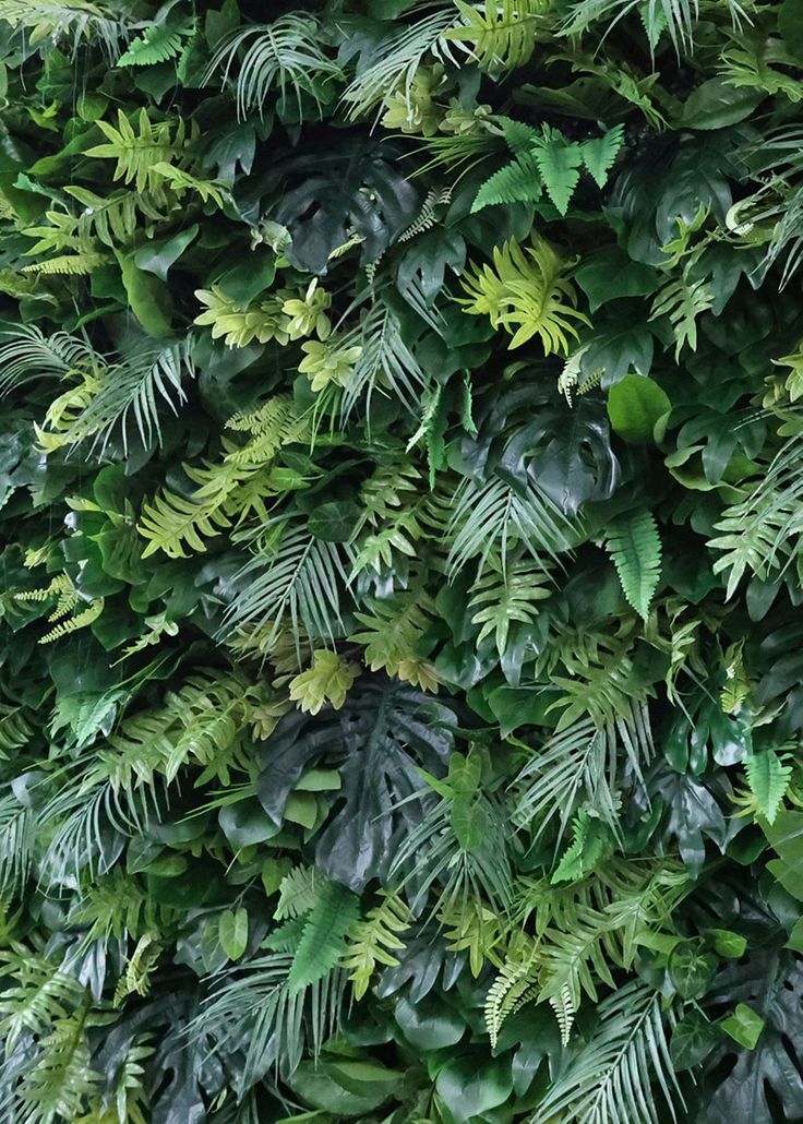 a green wall covered in lots of leaves and greenery, with the top right corner showing