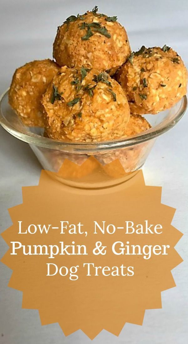 Low Fat, No Bake Pumpkin and Ginger Dog Treats. These no-bake treats can be great for dogs with sensitive stomachs and for dogs that are on a low-fat diet. Super easy to make too! #dogs #dogtreats #nobake #lowfat  mybrownnewfies.com Recipes For Sensitive Stomachs, Low Fat Dog Treats, Ginger Dog, No Bake Dog Treats, Pet Recipes, Homemade Dog Cookies, Pill Pockets, Dogs Treats, Pet Remedies