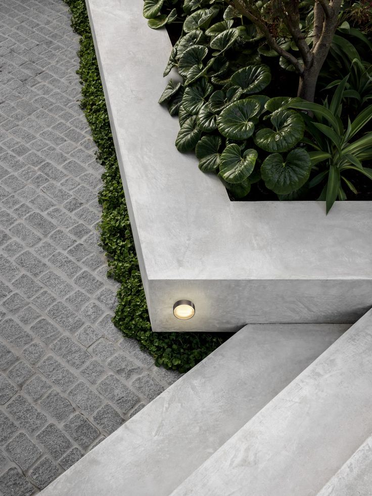 an outdoor area with concrete steps and plants