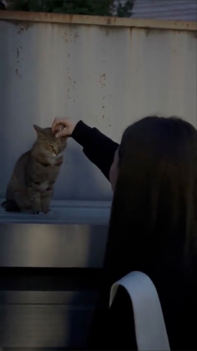 a woman petting a cat sitting on top of a metal bench next to a wall