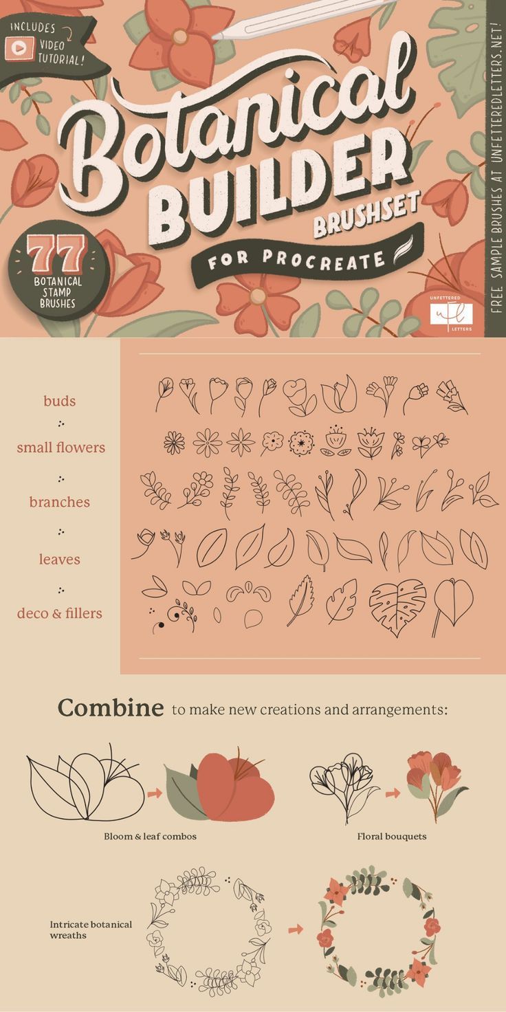 an info sheet showing the different types of flowers and leaves in various colors, sizes and shapes