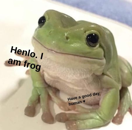 a green frog sitting on top of a white table