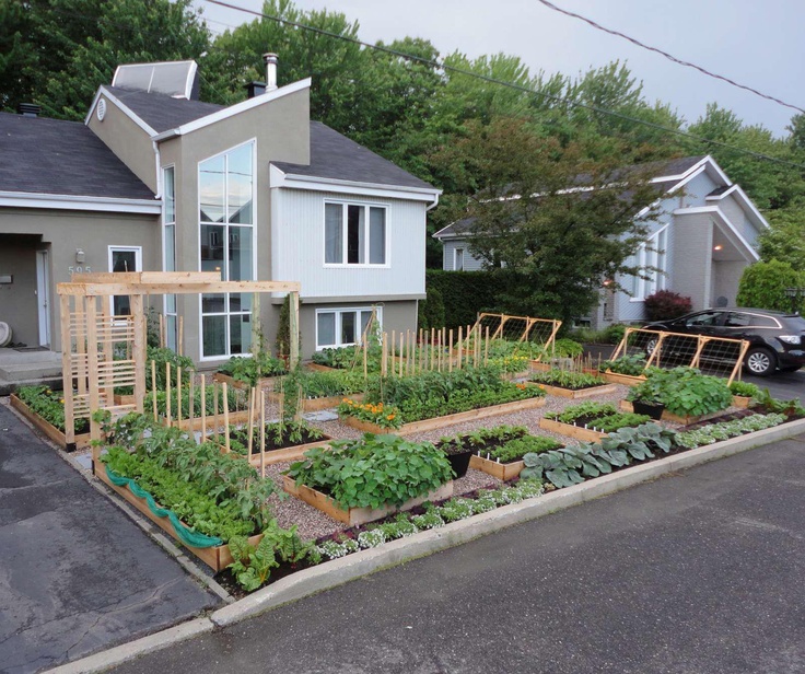 an urban vegetable garden is shown in front of a house with cars parked on the street