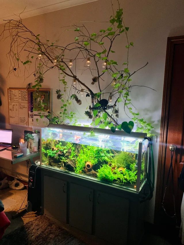 a fish tank filled with plants and water in a living room next to a computer desk