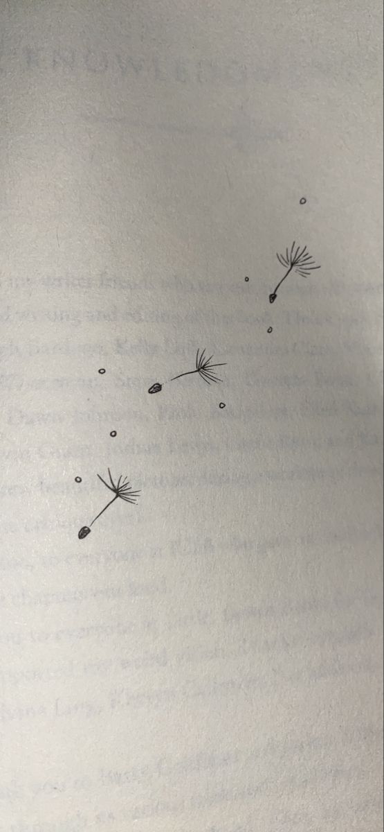 two dandelions flying in the air on top of an open book with writing underneath