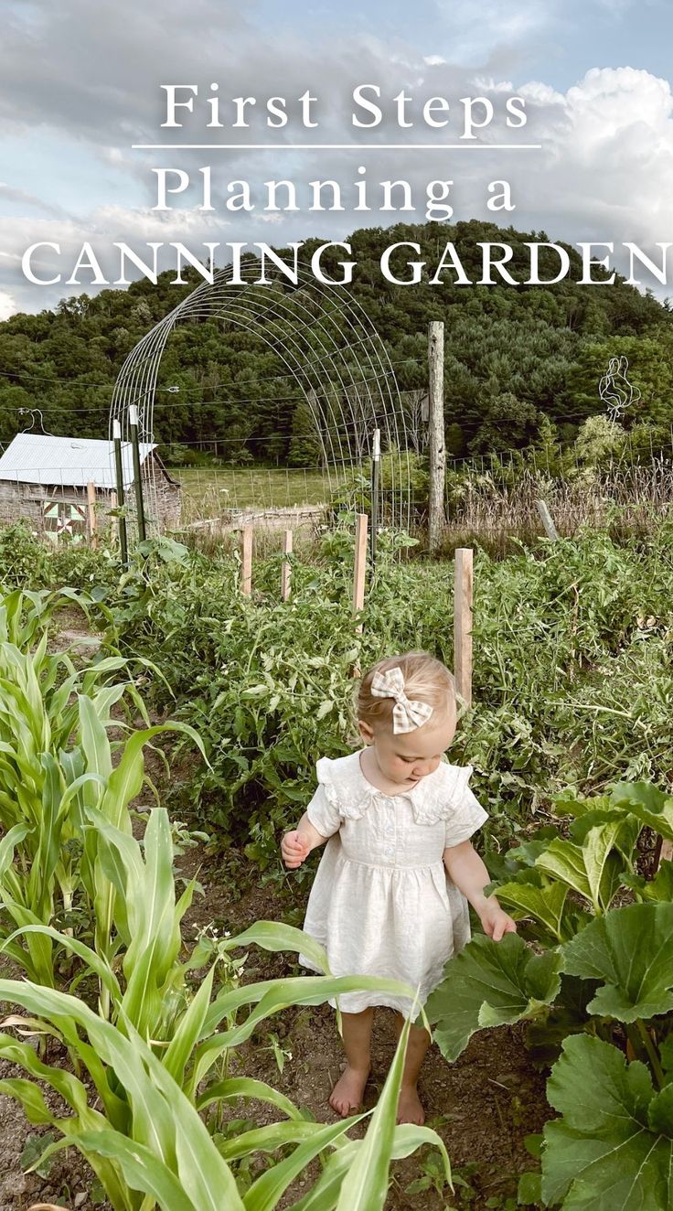 Have you always wanted to have a canning garden? I want to stir your heart to want to learn more about growing your own food to can. To avoid overwhelm, I'm going to start with basics. Here I'll share the simple first steps to planning a canning garden. Canning Garden Layout, Food To Can, Canning Garden, Garden Canning, Growing Your Own Food, Homemade Sauerkraut, Garden Harvest, Grow Your Own Food, Garden Layout