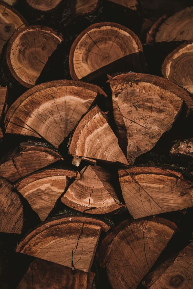 wood logs stacked on top of each other in a pile with the tops cut off