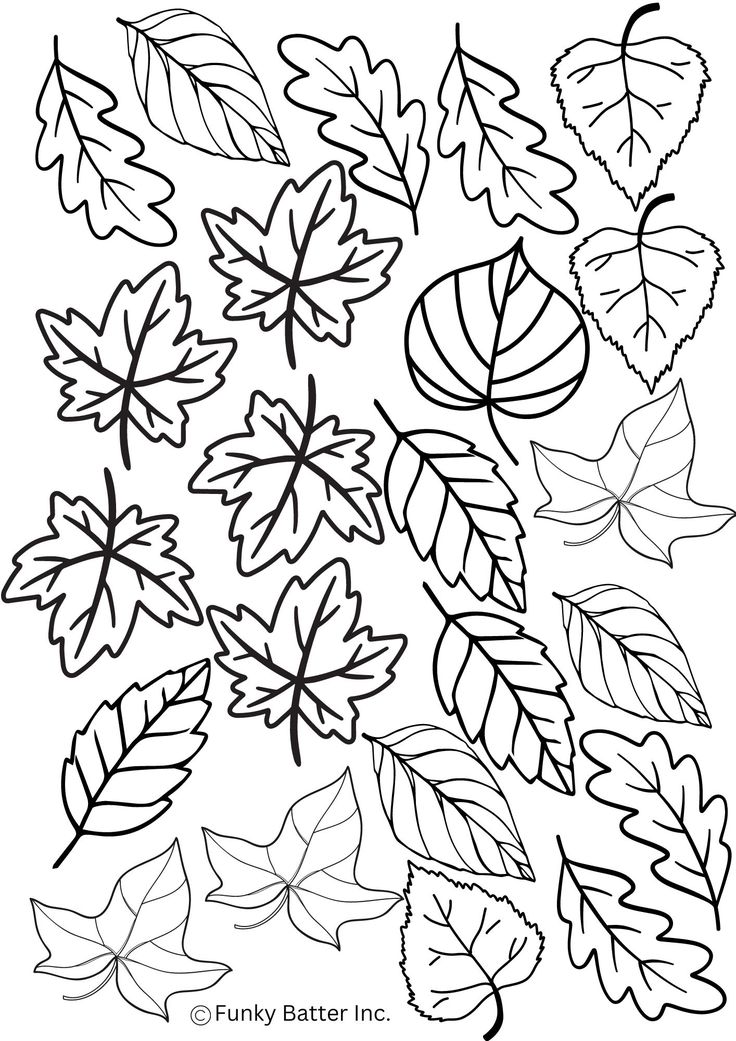 an image of fall leaves coloring pages