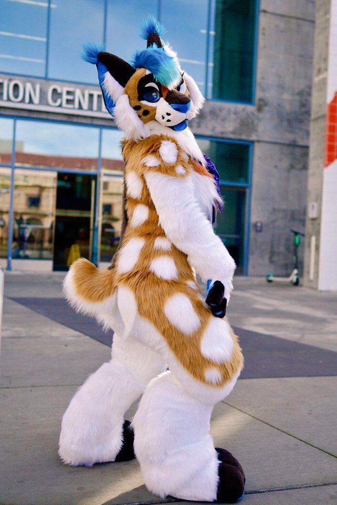 a person dressed as a cat standing on one leg and wearing a furry animal costume