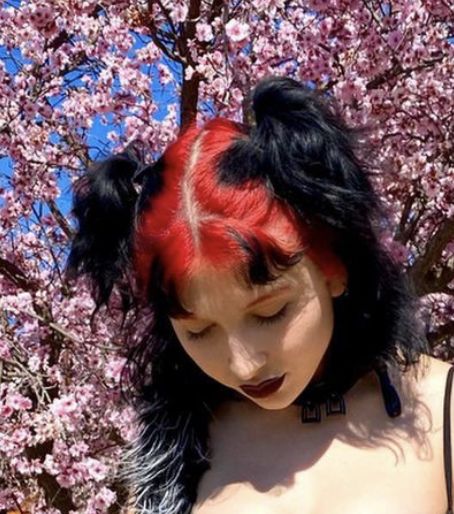 Black Tips Hair Color, Pink And Black Mullet, Edgy Bangs With Medium Hair, Alt Hair Dye Ideas Short Hair, Hot Roots Hair, Hair Color Ideas Alt, Hair Dye Inspo Short Hair, Pink Roots Black Hair, Alt Hair Color Ideas