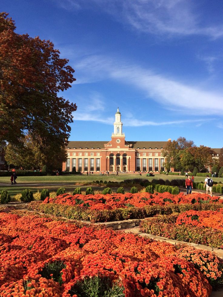 an orange flower garden in front of a large building with a clock tower on top