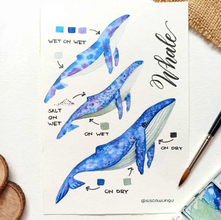 some watercolors are being used to paint blue whale images on white paper with markers and pencils