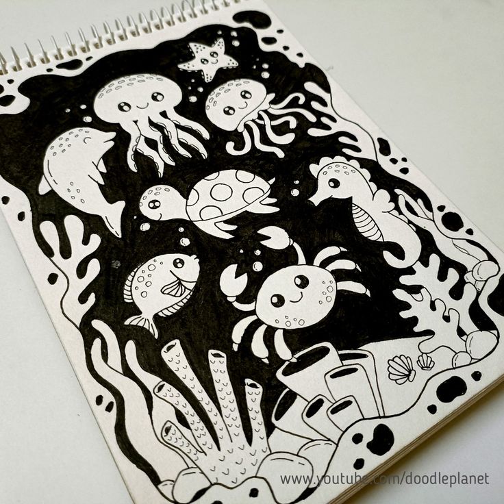 an open spiral notebook with black and white ink drawings on it, depicting various sea creatures