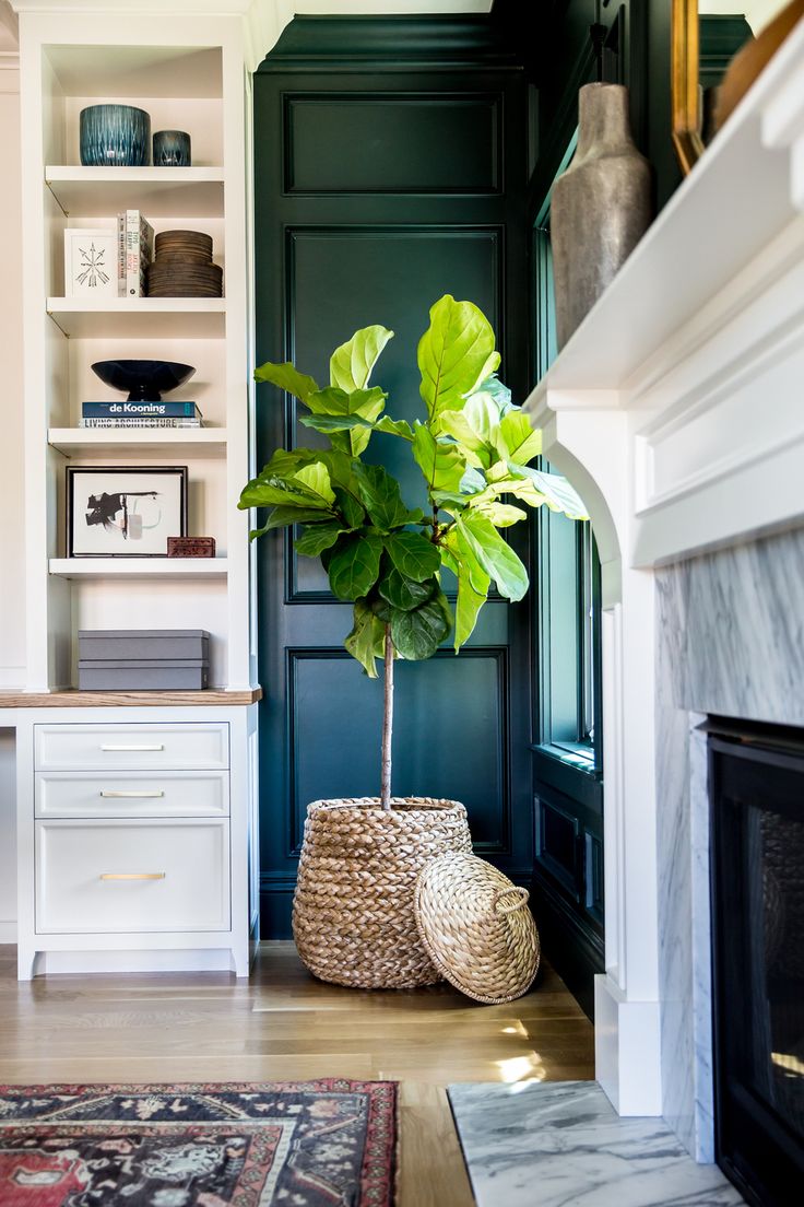 a living room filled with furniture and a potted plant on top of a table