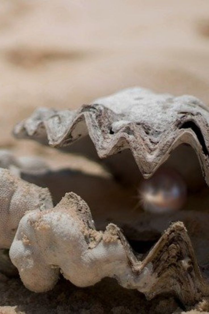 a close up of a rock with a pearl in it's center and text that reads, what is the meaning?