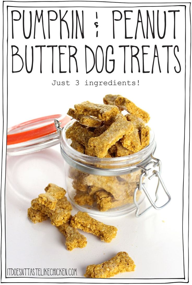 pumpkin peanut butter dog treats in a glass jar with the words, just 3 ingredients