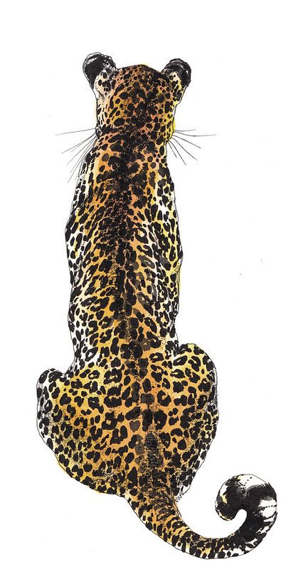 a drawing of a leopard sitting on its hind legs