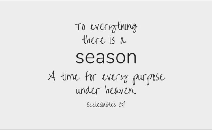 a quote that says to everything there is a season at time for every purpose under heaven