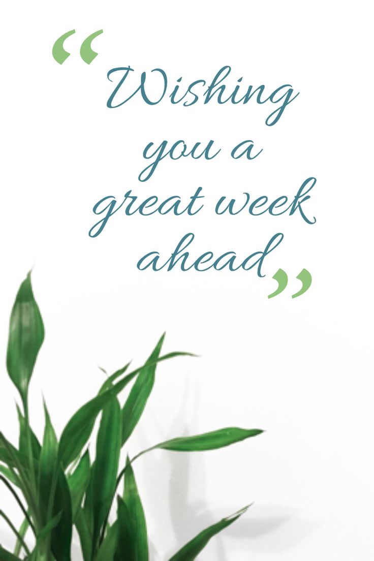 a potted plant sitting on top of a table next to a sign that says wishing you a great week ahead