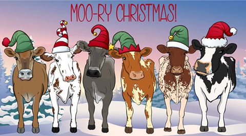 a group of cows wearing christmas hats standing next to each other