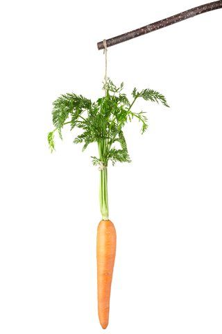 a carrot hanging from a tree branch with green leaves on it's top and bottom