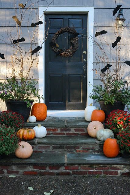 a small dog sitting on the steps in front of a door decorated with pumpkins and gourds