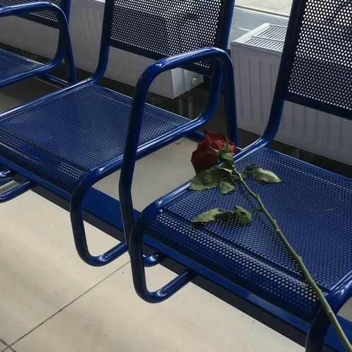 two blue metal benches with a single rose on them