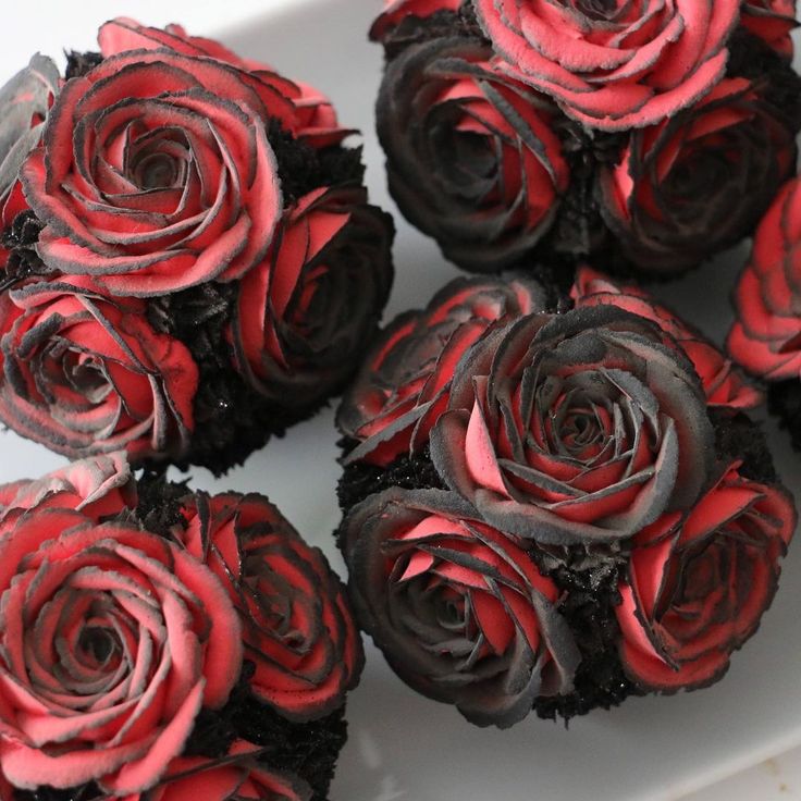 red and black cupcakes on a white plate