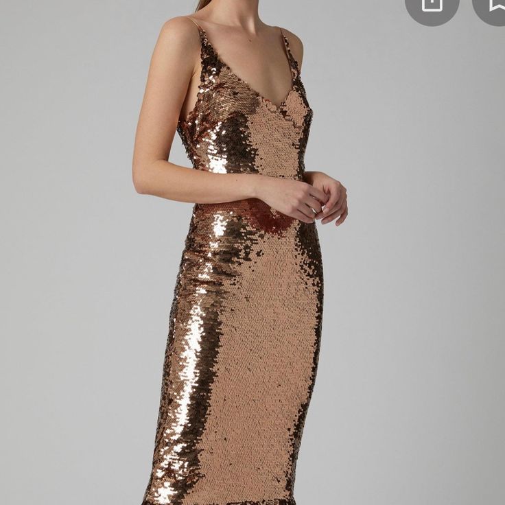 Saloni Evening Gown Gold & Metallic Sequin Embellishments Sleeveless With Scoop Neck Concealed Zip Closure At Back Designer Fit: Dresses By Saloni Typically Fit True To Size. Fitted Sleeveless Sequin Dress For Gala, Champagne Sleeveless Evening Dress For Gala, Champagne Sleeveless Evening Dress, Champagne Sleeveless Gown For Formal Occasions, Sleeveless Champagne Evening Dress, Champagne Sleeveless Glamorous Dresses, Glamorous Sleeveless Gala Dress, Gold Sleeveless Holiday Evening Dress, Glamorous Champagne Sleeveless Dresses