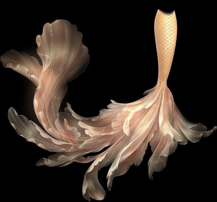 an image of a woman with long hair in the shape of a fish on a black background