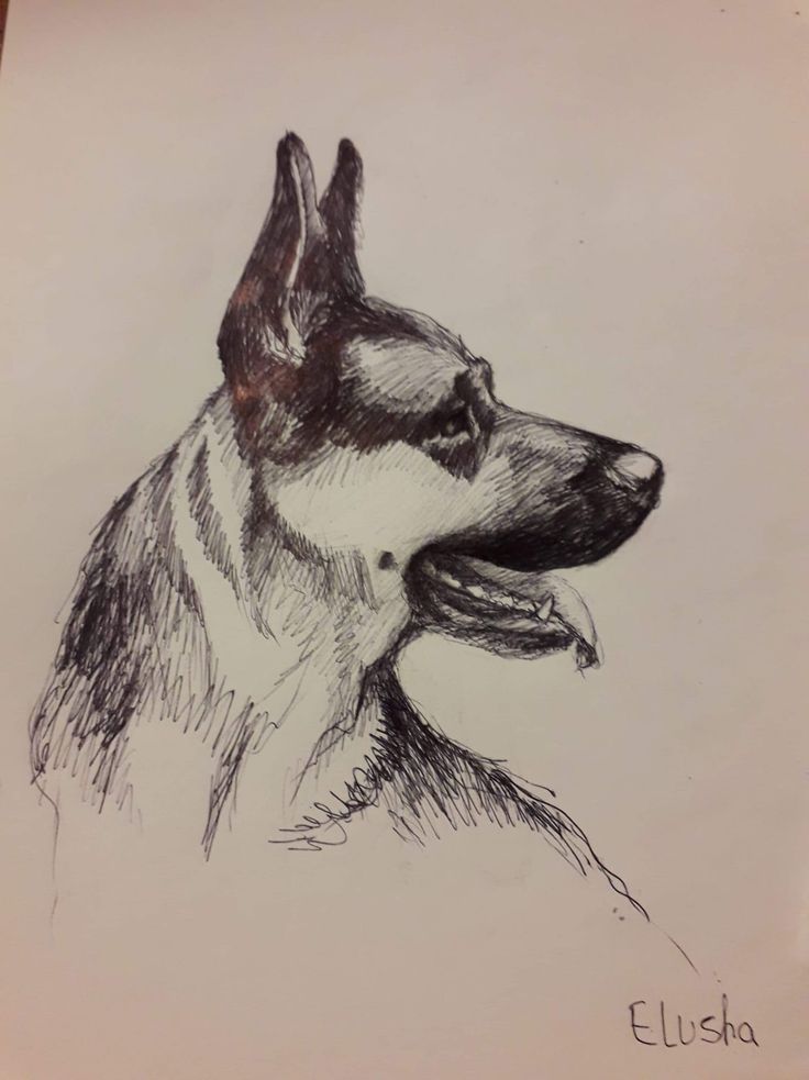 a drawing of a dog with its tongue out