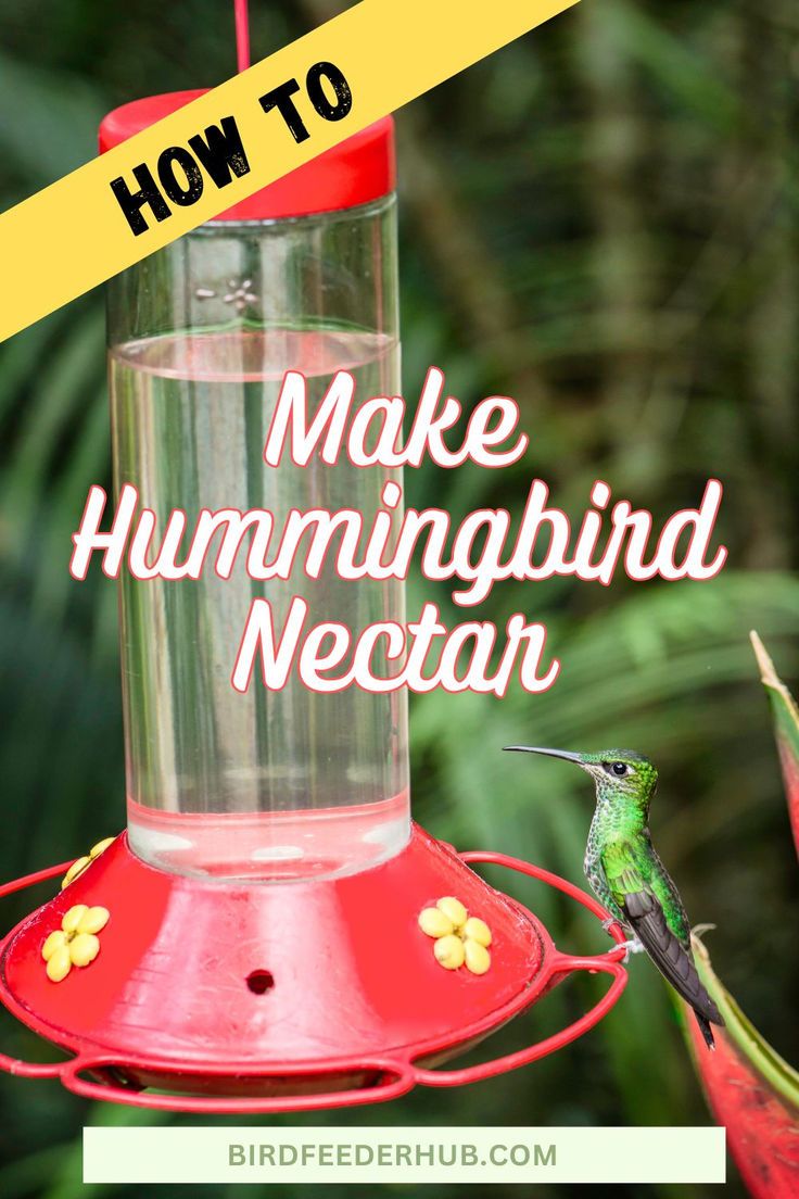 a hummingbird feeder with the words how to make hummingbird nectar